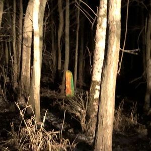 Meet your Posher, Lydia